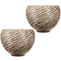 Itens Tigela Decorativa Vaso Cerâmica Bege Marrom Ø15cm 2pcs