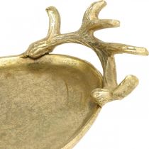 Bandeja decorativa chifre de veado dourado vintage oval L35×L17cm