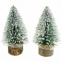 Decoração de Natal, abeto deco, mini abeto verde nevado A15cm Ø9,5cm 6uds