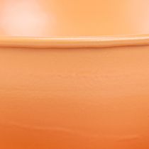 Itens Xícara decorativa Ø16cm A9cm com prato de metal, laranja, 2 peças