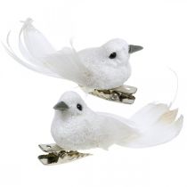 Itens Deco par de pombas Deco pássaros com clipe branco L5cm 4pcs