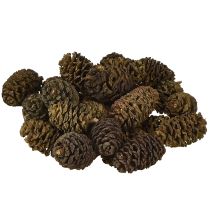 Itens Cones decorativos cones de amieiro naturais para decoração 3-4cm 200g