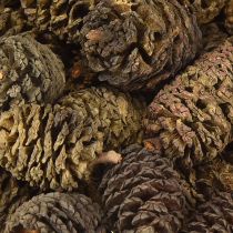 Itens Cones decorativos cones de amieiro naturais para decoração 3-4cm 200g