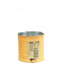 Caixa decorativa verão damasco caixa de metal vaso Ø8cm H7.5cm