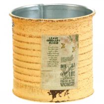 Itens Caixa decorativa verão damasco caixa de metal vaso Ø8cm H7.5cm