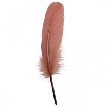 Itens Penas decorativas para artesanato Penas de pássaros reais rosa escuro 20g