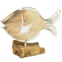 Itens Suporte decorativo de madeira para peixes em raiz decoração marítima 27cm
