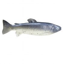 Itens Comida de peixe decorativa manequim peixe artificial 31cm