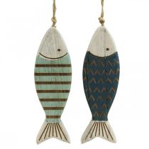 Deco peixe marítimo decoração pendurada peixe de madeira azul L16cm 4 unid.