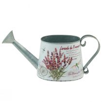 Itens Regador decorativo jarro de metal lavanda 30×11cm Alt.14,5cm