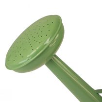 Itens Regador decorativo de metal, cor menta, para plantas e decoração, primavera/verão, 26 cm de altura, 5 litros.