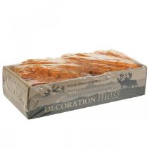 Itens Musgo Decorativo Laranja Musgo Real para Artesanato Seco, Tingido 500g