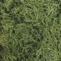 Itens Musgo decorativo seco floresta musgo verde decoração natural 300g