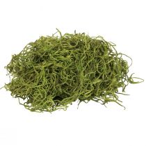 Musgo decorativo seco floresta musgo verde decoração natural 300g