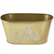 Itens Tigela decorativa plantador de árvore de Natal oval dourado 24×13×12,5cm