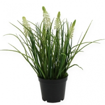 Itens Creme de jacinto de uva Deco em pote 26cm