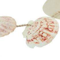 Itens Cabide decorativo decoração de concha marítima natural Ø5–10cm 70cm