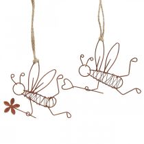 Cabide decorativo de metal Bees cabide ferrugem 9x6,5cm 6 unidades