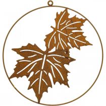 Anel decorativo folha pátina anel metálico decoração ferrugem decoração parede Ø30cm