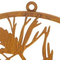Itens Anel decorativo de metal, decoração de parede em aço patinado, ramo de pinheiro, Ø38cm