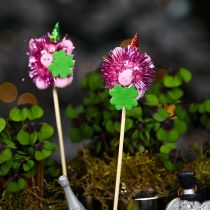 Plugue decorativo lucky pig 8pcs