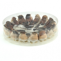 Itens Pássaros decorativos 9cm em arame 16 unid.