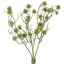 Itens Ramo decorativo de goma-doce, frutos verde-claro, 48 cm