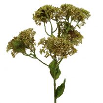 Ramo decorativo sedum planta verde 58 cm