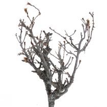 Ramos decorativos bonsai ramos decorativos de madeira 15-30cm 650g