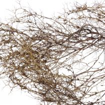Ramos decorativos Ramos arbusto de ferro decoração natural madeira natureza 250g