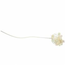 Itens Endro branco nevado 117cm