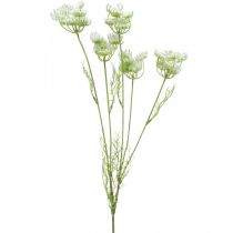 Floração de endro, planta artificial, ervas artificiais verdes, branco L80cm