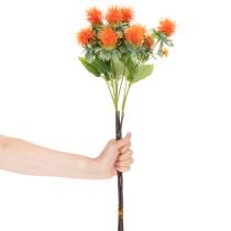 Itens Arranjo artificial de cártamo laranja, ideal para vasos e decoração, 55 cm, 4 peças.