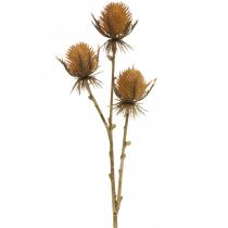 Itens Thistle Branch Brown Artificial Plant Fall Decoration 38cm Planta artificial como a coisa real!