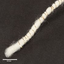 Itens Cordão de lã branco com fio dourado, 5m x 5mm, com arame para decoração e artesanato.