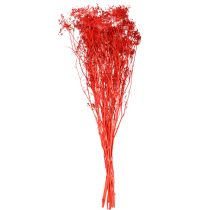 Itens Buquê decorativo de umbelíferas para casamentos e eventos.