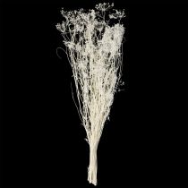 Itens Flores secas de umbelíferas (Umbellifera) brancas, 70-80 cm, 150 g