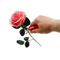 Espinhos de rosa