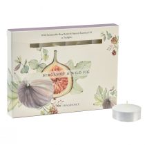 Itens Velas perfumadas Bergamota Wild Fig luzes de chá Ø3,5cm 12 unidades