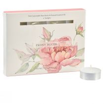 Itens Velas perfumadas luzes de chá peônia rosa peônia blush Ø3,5cm 12 unidades