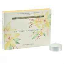 Itens Velas perfumadas baunilha almíscar branco luzes de chá Ø3,5cm 12 unidades