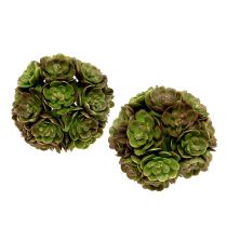 Bola Echeveria 5cm verde 4pcs