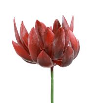 Suculenta Echeveria Plantas Verdes Artificiais Vermelhas Ø12cm 19,5cm
