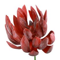 Suculenta Echeveria Plantas Verdes Artificiais Vermelhas Ø12cm 19,5cm