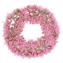 Coroa de Echeveria rosa Ø18cm 4 unidades