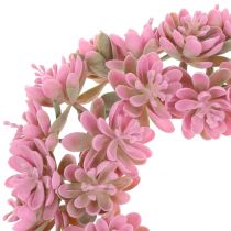 Coroa de Echeveria rosa Ø18cm 4 unidades