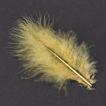 Itens Penas verdadeiras para artesanato na cor amarelo claro, 5cm – 10cm, 20g