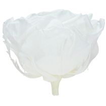 Itens Cabeças de rosas reais Infinity Roses White Premium Ø8,5cm 4 unidades