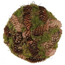 Itens Bola decorativa de cones reais com decoração natural de musgo Ø25cm Alt.25cm