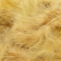 Itens Penas verdadeiras para artesanato na cor amarelo claro, 5cm – 10cm, 20g